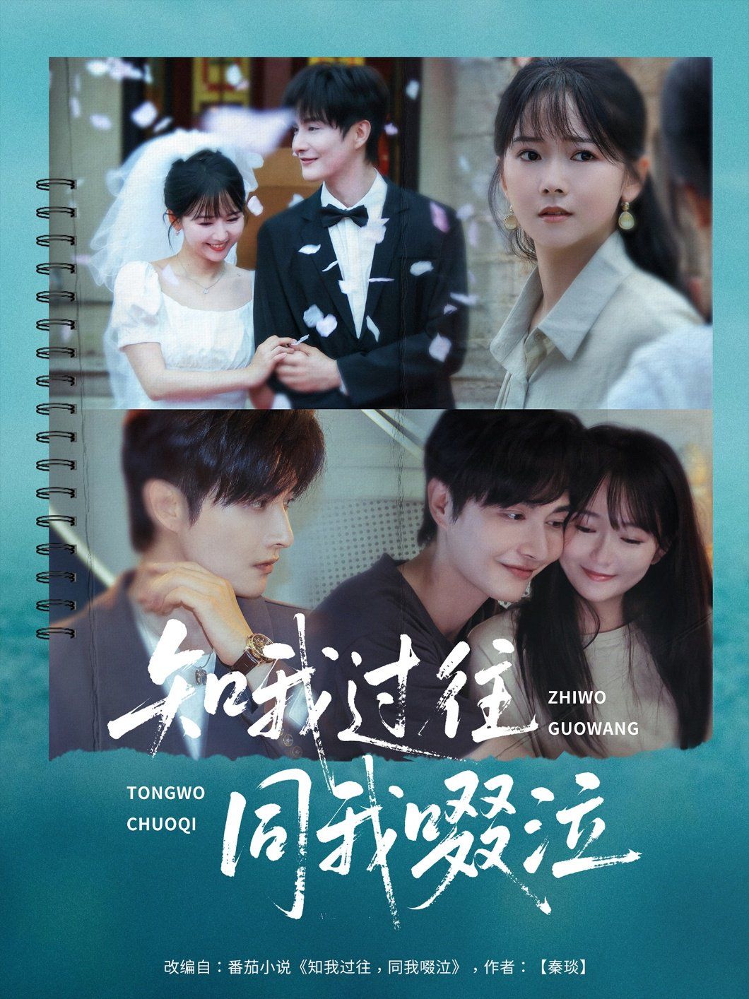 知我過(guò)往同我啜泣(全集)