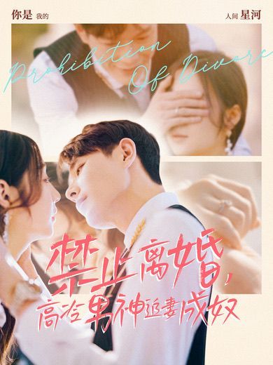 禁止離婚，高冷男神追妻成奴(全集)
