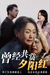 曾經共賞夕陽紅(全集)