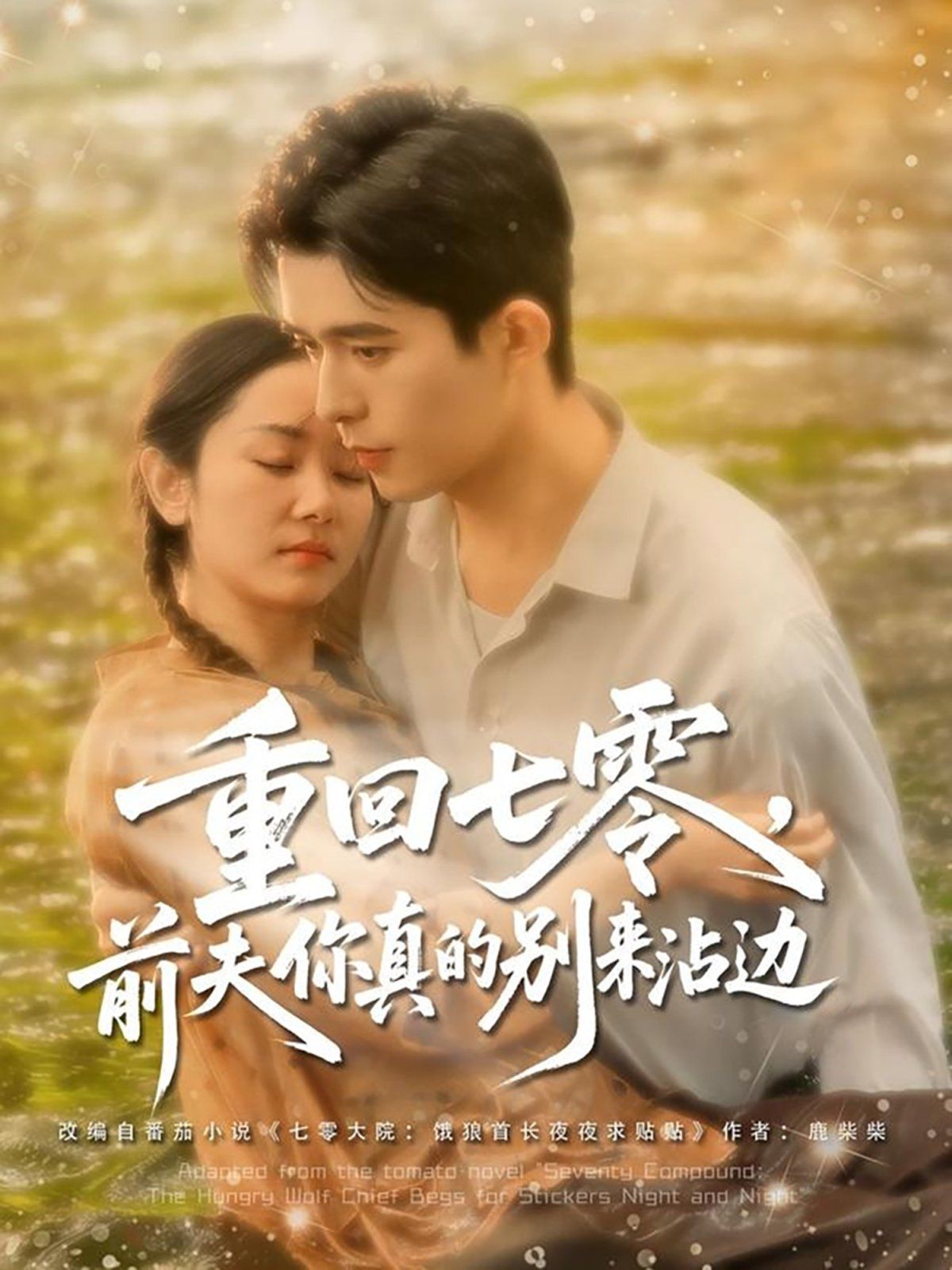 重回七零前夫你真的別來沾邊(全集)