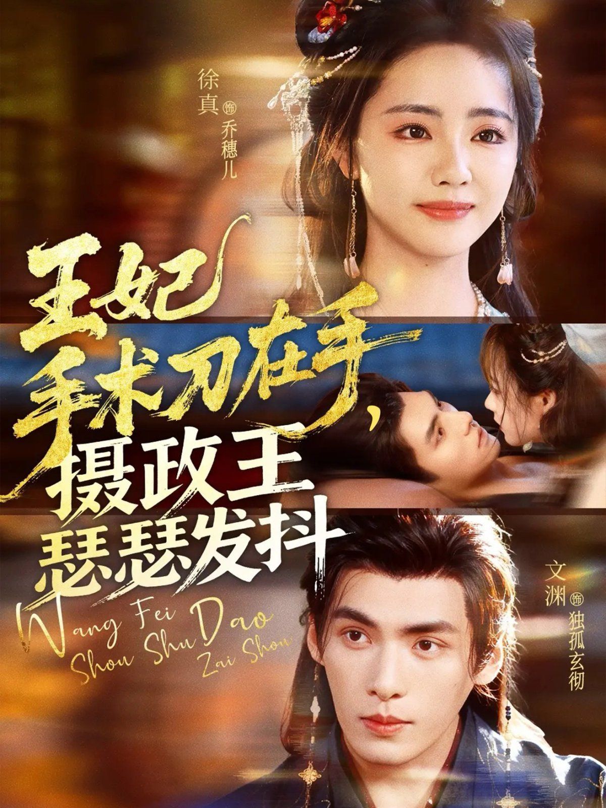 王妃手術(shù)刀在手攝政王瑟瑟發(fā)抖(全集)