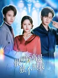 恨明月高懸獨不照我，錯位月光(全集)