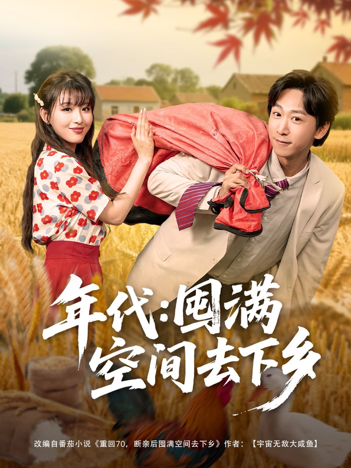 年代囤滿空間去下鄉(xiāng)(全集)