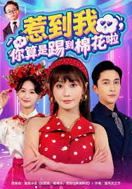 惹到我，你算是踢到棉花啦(全集)