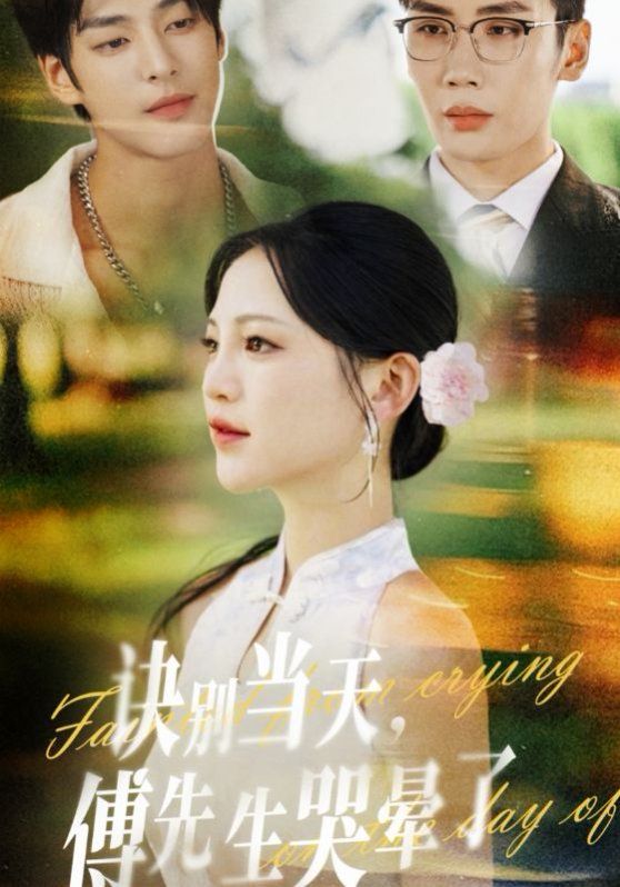 訣別當(dāng)天傅先生哭暈了(全集)