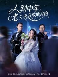 人到中年，老公求我放他自由(全集)