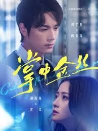 掌中金絲（長姐她竟是隱藏大佬）(全集)