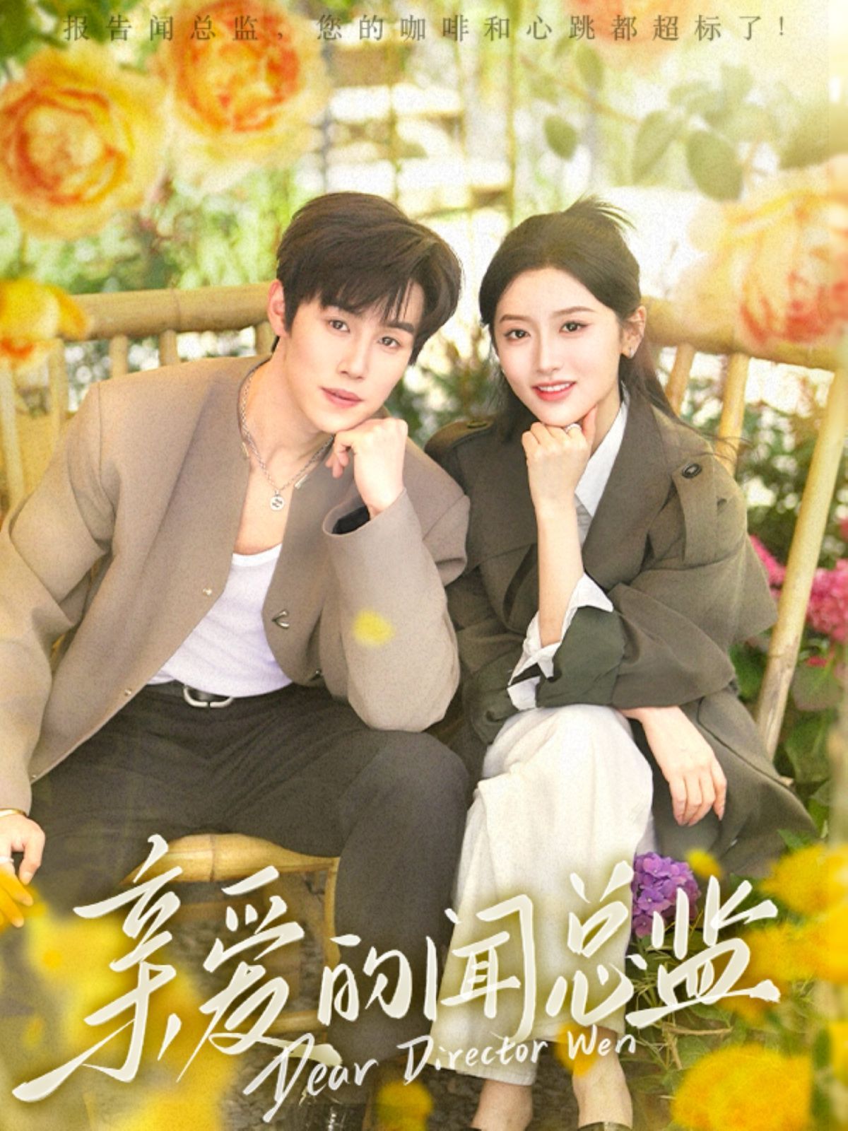 親愛(ài)的聞總監(jiān)(全集)